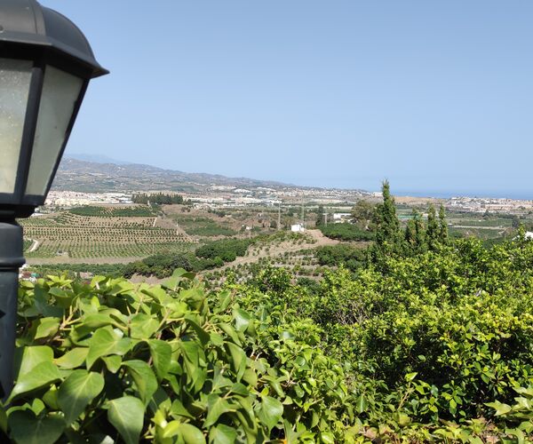 Vistas de la comarca entre la vegetación