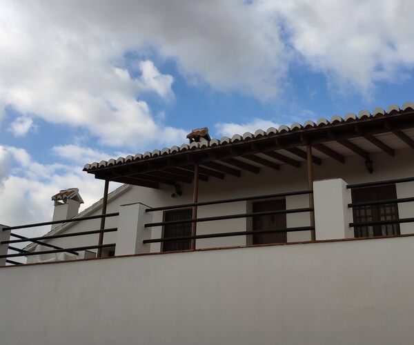 Fachada de Casa Rural Bellavista