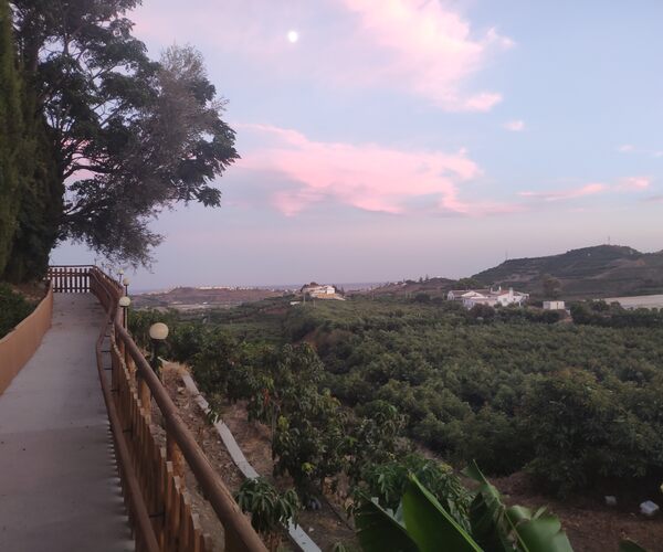 Cielo de atardecer sobre el campo